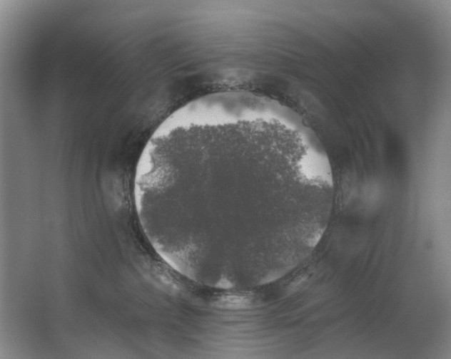 X0000062640236200601041105