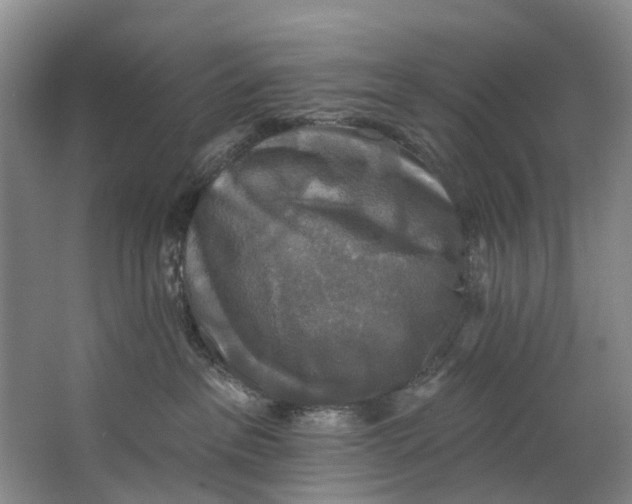 X0000062640237200601041105