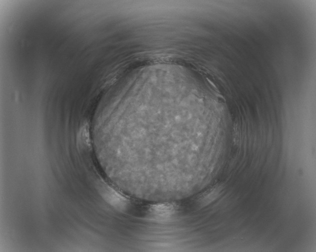 X0000062640238200601041105