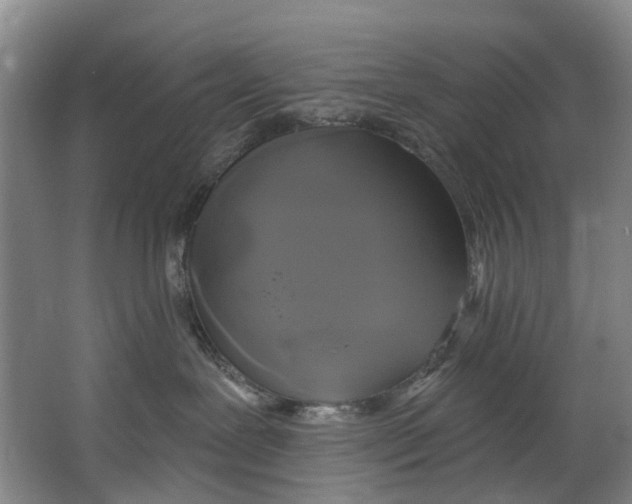 X0000062640239200601041105