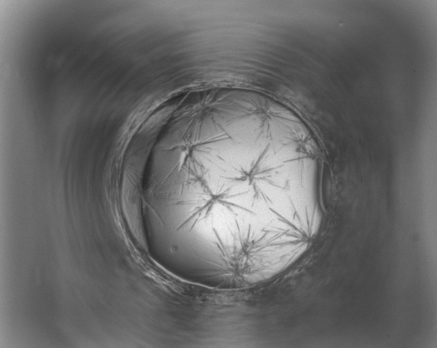 X0000062640241200601041104