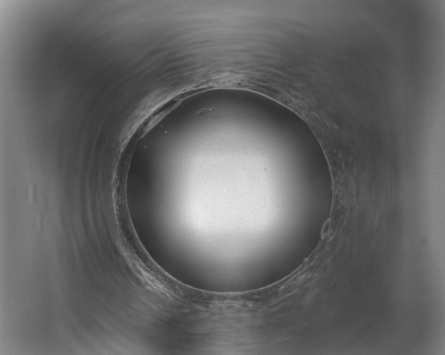 X0000062640242200601041104