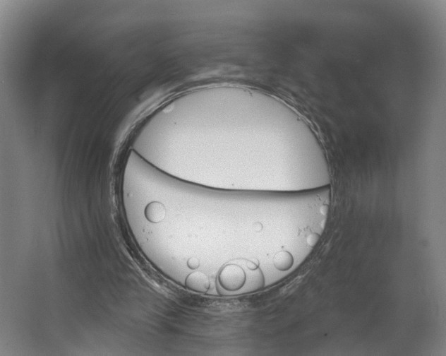 X0000062640245200601041104