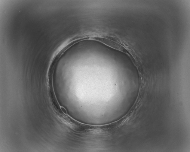 X0000062640246200601041104