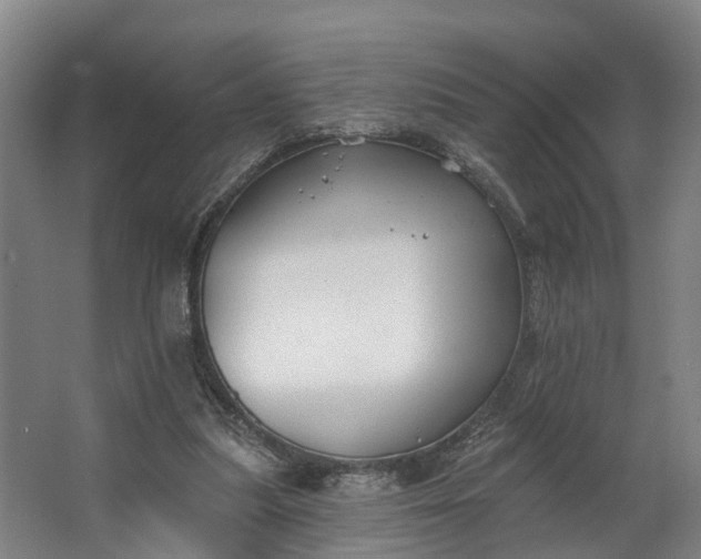 X0000062640251200601041104