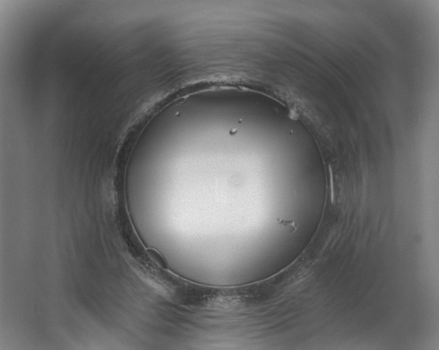 X0000062640252200601041104