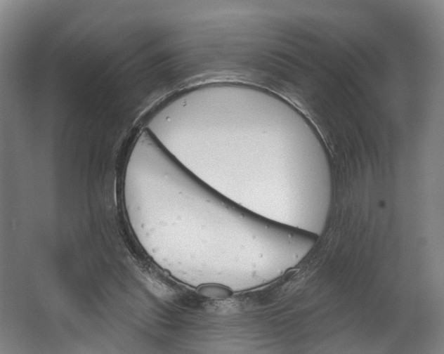 X0000062640253200601041104