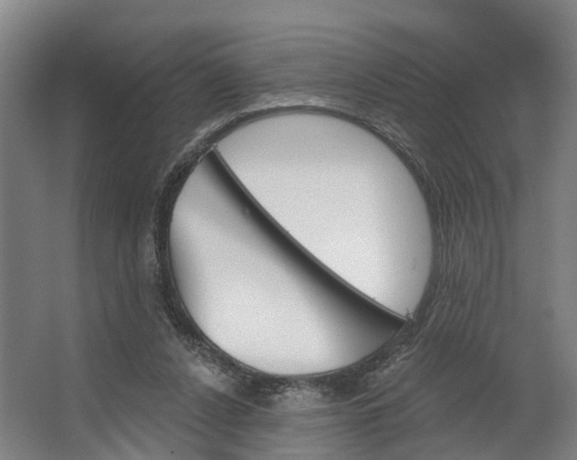 X0000062640256200601041104