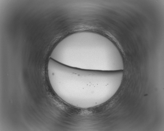 X0000062640257200601041104