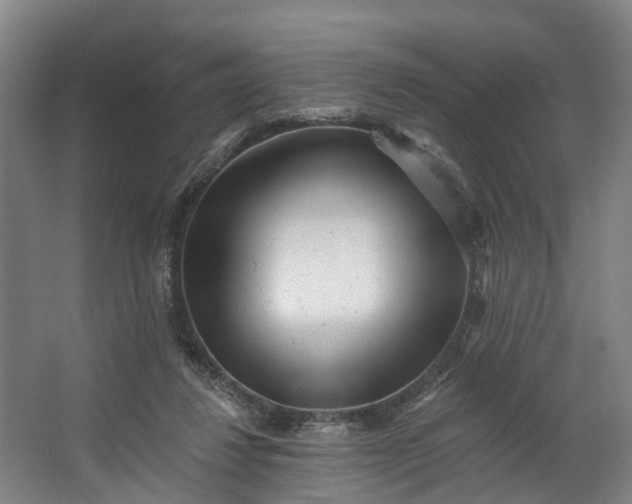 X0000062640260200601041104