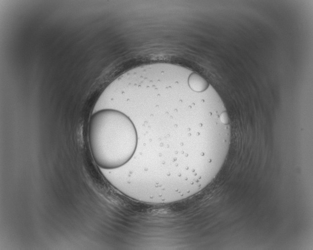 X0000062640262200601041104