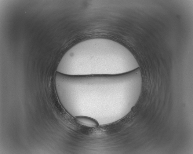 X0000062640263200601041104