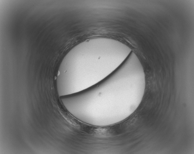 X0000062640265200601041104