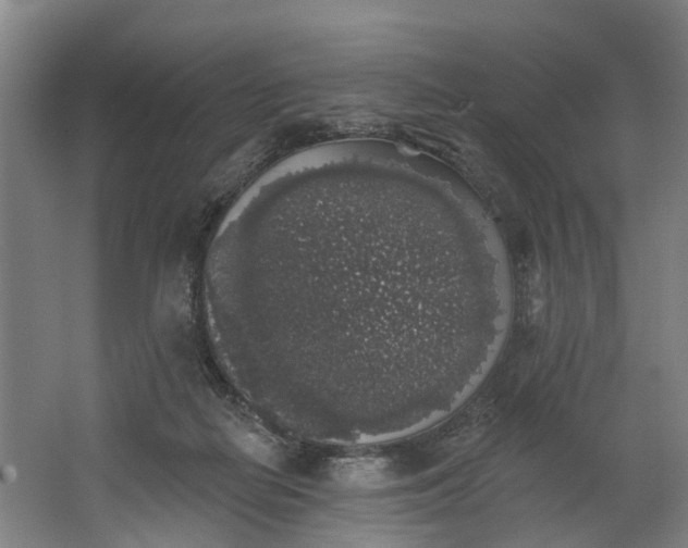 X0000062640266200601041104