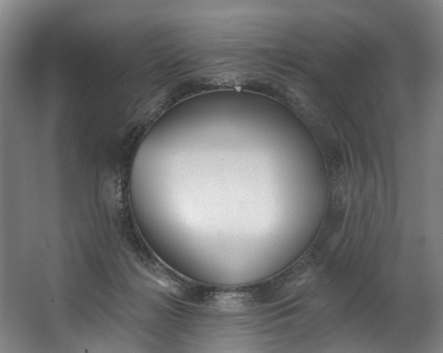 X0000062640268200601041105