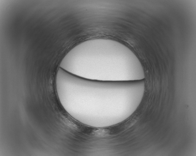 X0000062640269200601041105