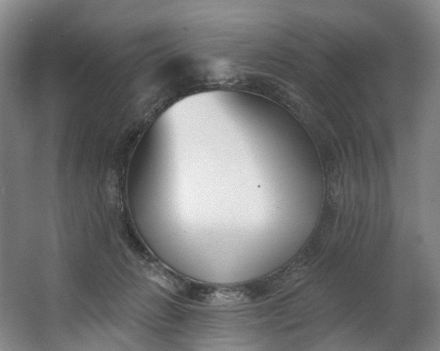 X0000062640270200601041105