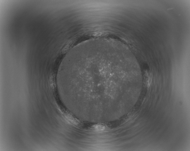 X0000062640272200601041105