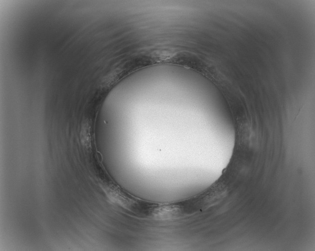 X0000062640274200601041105