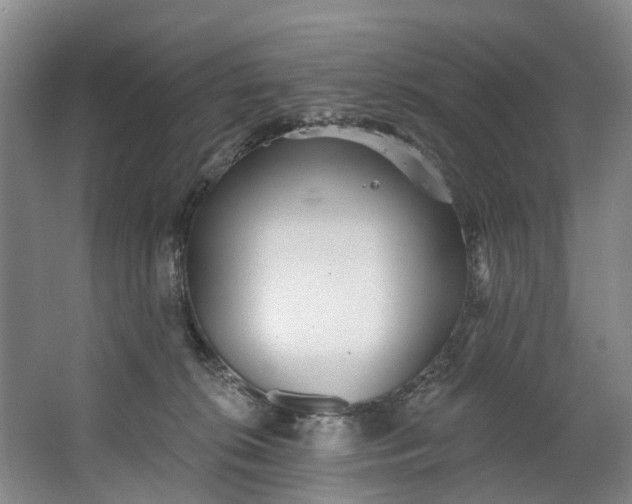 X0000062640276200601041105