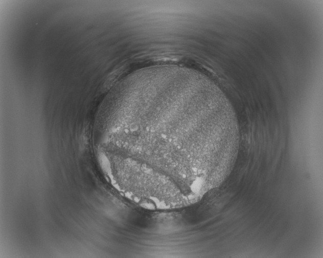 X0000062640277200601041105