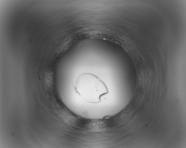 X0000062640278200601041105