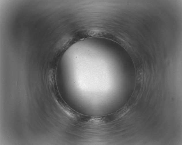 X0000062640280200601041105