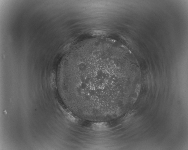 X0000062640281200601041105