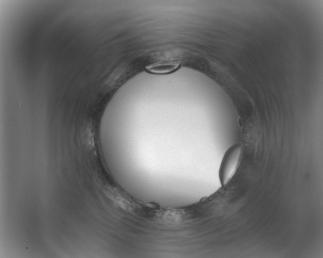 X0000062640282200601041105