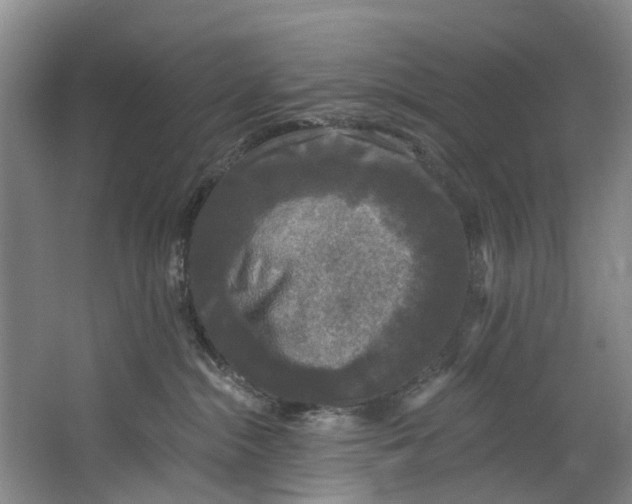 X0000062640284200601041105