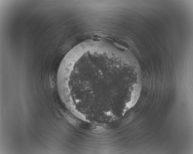 X0000062640285200601041105