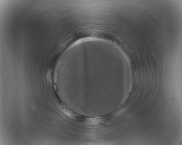 X0000062640286200601041105