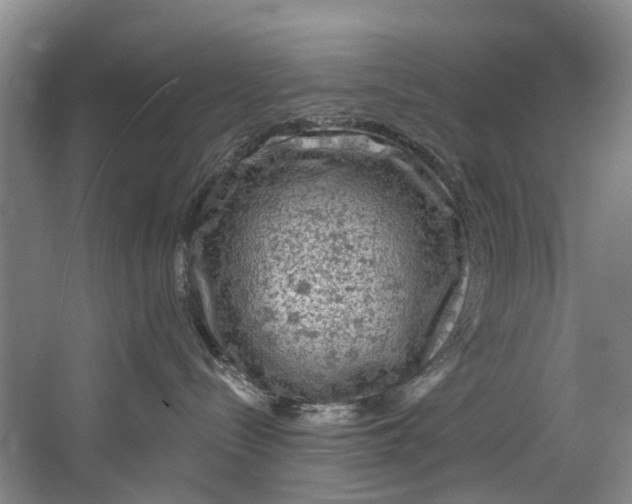 X0000062640288200601041105