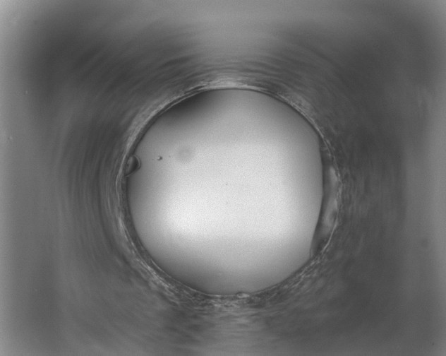 X0000062640289200601041104