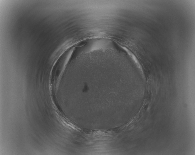 X0000062640290200601041104