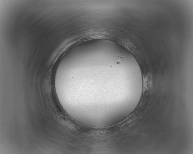 X0000062640291200601041104