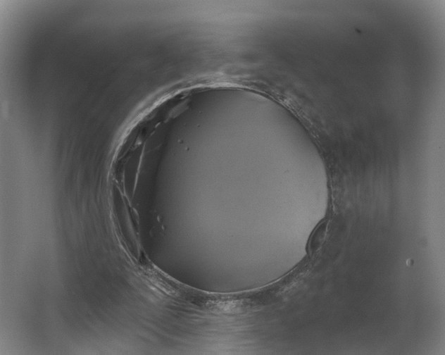 X0000062640295200601041104