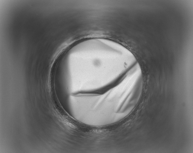 X0000062640296200601041104