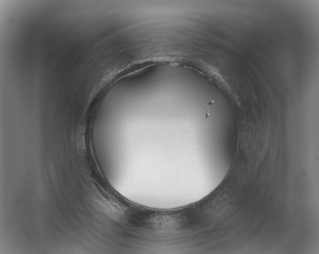 X0000062640299200601041104