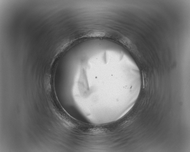 X0000062640300200601041104