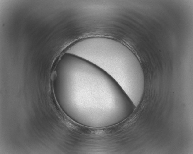 X0000062640301200601041104