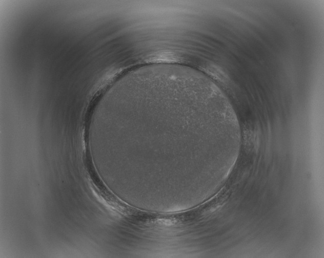 X0000062640302200601041104