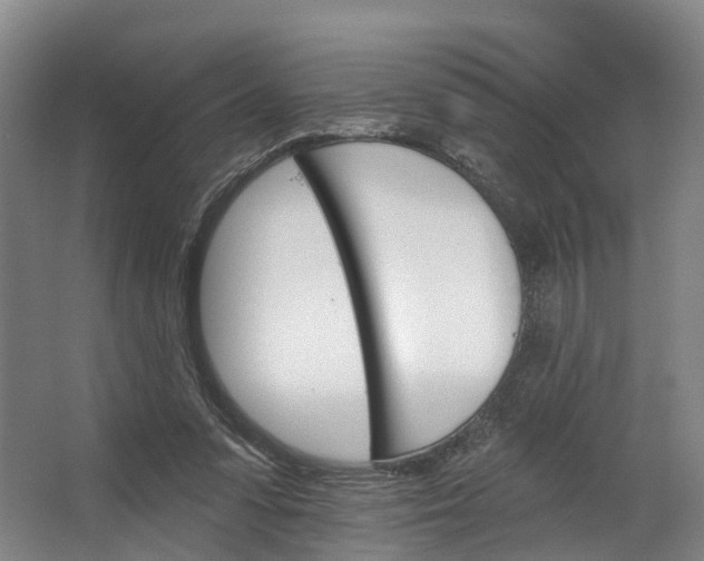 X0000062640303200601041104