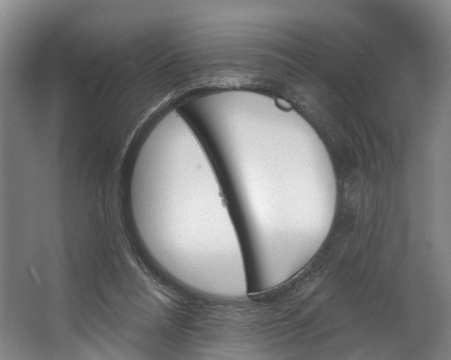 X0000062640304200601041104