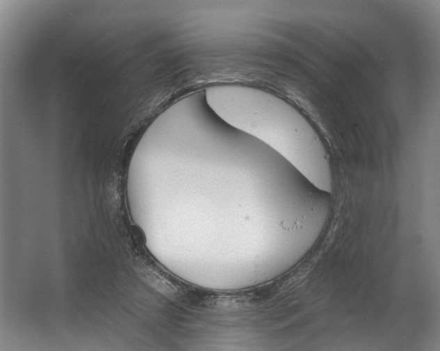 X0000062640305200601041104