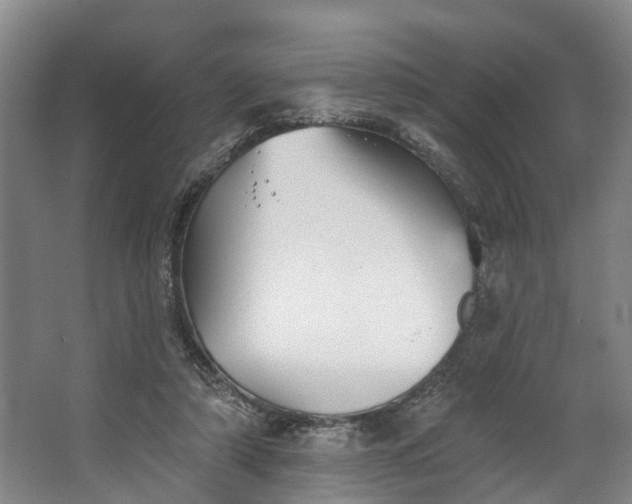 X0000062640306200601041104