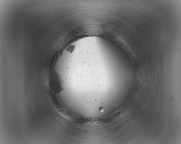 X0000062640307200601041104