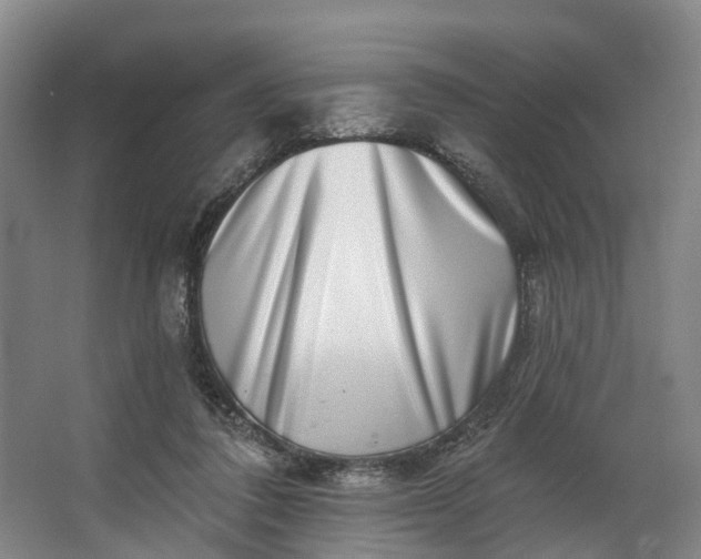 X0000062640308200601041104