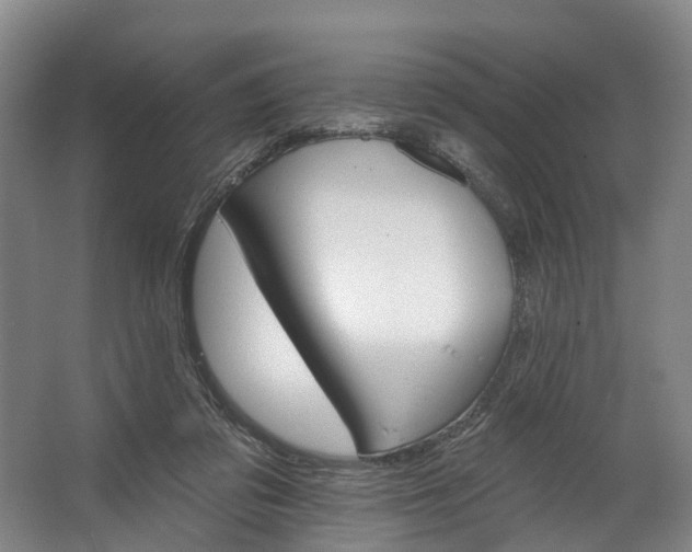 X0000062640309200601041104