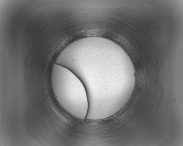 X0000062640310200601041104